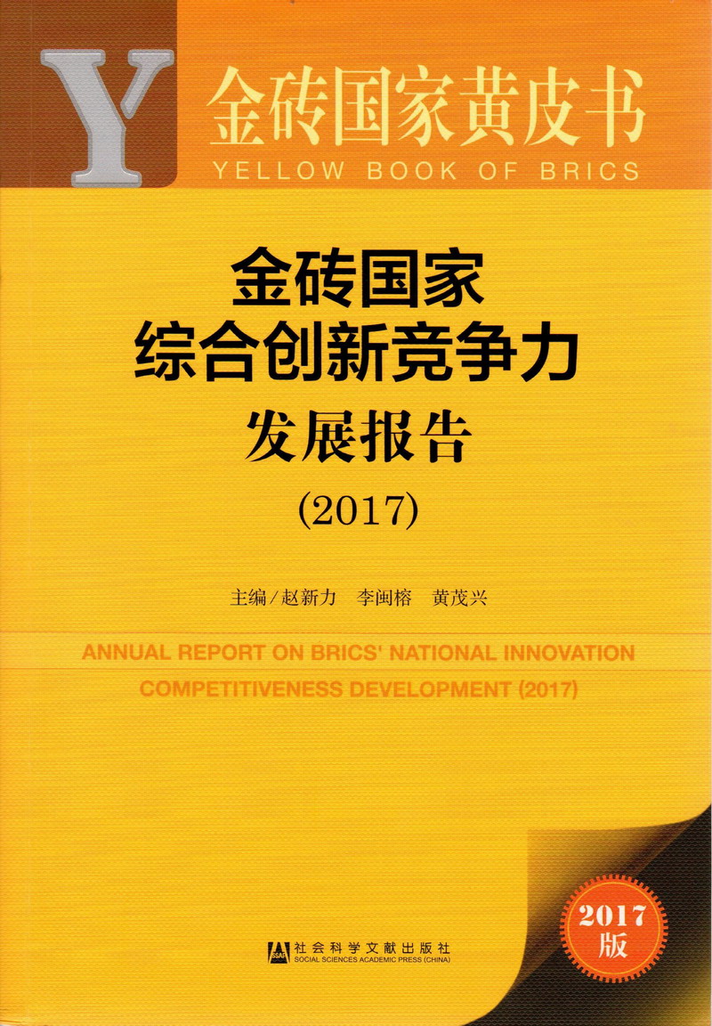 日本孕妇舔我鸡鸡金砖国家综合创新竞争力发展报告（2017）